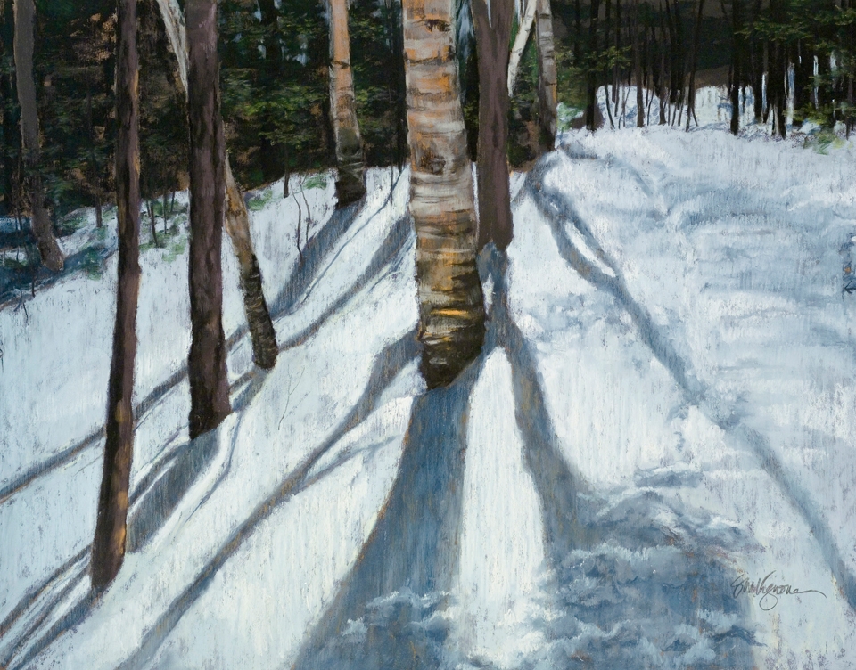Stand of Birches - Winter